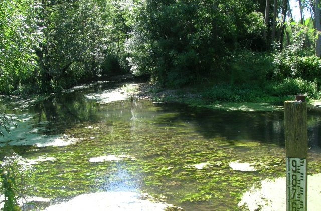 2013-09-11 la Boutonne au moulin de Chatre échelle
